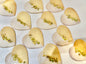 VANILLA DIPPED HEART COOKIE